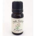 Aceite esencial orégano 12ml