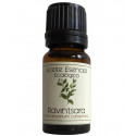 Aceite esencial ravintsara 12ml BIO