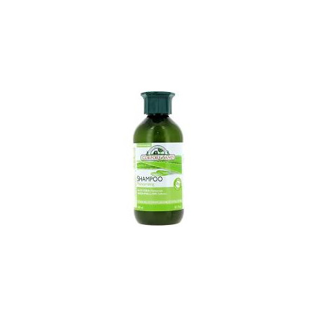 CHAMPÚ ALOE VERA HIDRATANT C.S