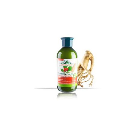 CHAMPU GINSENG REFORZANTE