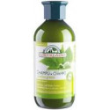 CHAMPU ORTIGA 300ML C.GRASO