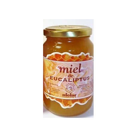 Miel de Eucalipto 500 g