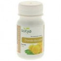 Diente de león 100 comp 500mg Sotya