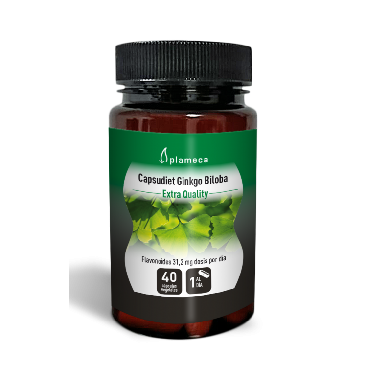 Capsudiet Ginkgo Biloba